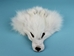 White Arctic Fox Face - 19-04-WA (Y3L)