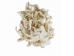Ermine Scrap (oz) - 204-SCRAP-OZ1 (Y2LRH)