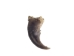 Raccoon Claw - 209-08-AS (Y2DC02)