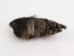 Nutria Back Foot: Assorted - 21-90-B-AS (Y1XC09)