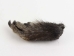 Nutria Back Foot: Assorted - 21-90-B-AS (Y1XC09)