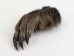 Nutria Back Foot: Assorted - 21-90-B-AS (Y1XC09)