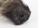 Nutria Back Foot: Assorted - 21-90-B-AS (Y1XC09)