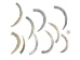 Natural African Abalone Shell Lips: Large (g) - 220-30-NA-L (Y3ERK)