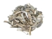 Natural African Abalone Shell Lips: Small (g) - 220-30-NA-S (Y3ERK)