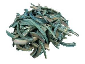 Dyed Turquoise African Abalone Shell Lips: Large (g) 
