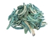 Dyed Turquoise African Abalone Shell Lips: Medium (g) - 220-30-TQ-M (Y3E)