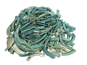 Dyed Turquoise African Abalone Shell Lips: Small (g) 
