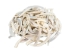 Creamy White African Abalone Shell Lips: Large (g) - 220-30-WH-L (Y3E)