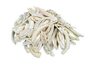 Creamy White African Abalone Shell Lips: Medium (g) 