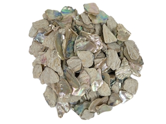 African Abalone Pieces: Natural Color (kg) 