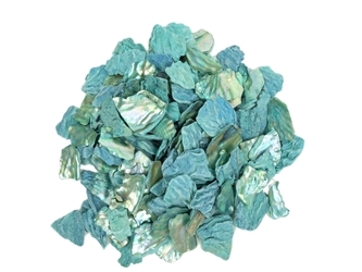 African Abalone Pieces: Turquoise (kg) 