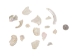 African Abalone Pieces: Assorted Sizes: Bleached White (kg) - 220-TP-BW (Y3E)