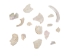 African Abalone Pieces: Assorted Sizes: Bleached White (kg) - 220-TP-BW (Y3E)