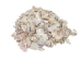 African Abalone Pieces: Assorted Sizes: Bleached White (kg) - 220-TP-BW (Y3E)