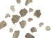 African Abalone Pieces: Assorted Sizes: Copper (kg) - 220-TP-CP (Y3E)