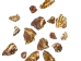 African Abalone Pieces: Assorted Sizes: Copper (kg) - 220-TP-CP (Y3E)