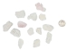 African Abalone Pieces: Assorted Sizes: Creamy White (kg) - 220-TP-CR (Y3E)