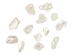 African Abalone Pieces: Assorted Sizes: Creamy White (kg) - 220-TP-CR (Y3E)