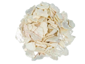 African Abalone Pieces: Assorted Sizes: Creamy White (kg) 