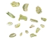 African Abalone Pieces: Assorted Sizes: Green (kg) - 220-TP-GR (Y3ERE)