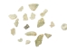African Abalone Pieces: Assorted Sizes: Natural Color (kg) - 220-TP-NA (Y3ERF)