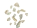African Abalone Pieces: Assorted Sizes: Natural Color (kg) - 220-TP-NA (Y3ERF)
