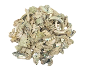 African Abalone Pieces: Assorted Sizes: Natural Color (kg) 