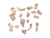 African Abalone Pieces: Assorted Sizes: Red (kg) - 220-TP-RD (Y3E)