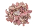 African Abalone Pieces: Assorted Sizes: Red (kg) - 220-TP-RD (Y3E)