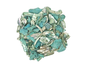 African Abalone Pieces: Assorted Sizes: Turquoise (kg) 