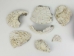 Mexican Green Abalone Shell Pieces (lb) - 221-BC (Y3G-A2)