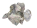Mexican Green Abalone Shell Pieces (lb) - 221-BC (Y3G-A2)