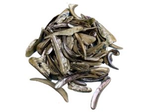 Mexican Green Abalone Shell Lips: Medium (1/2 lb) 