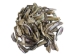 Mexican Green Abalone Shell Lips: Small (1/2 lb) - 221-GTLNAS-AS (Y3LRH)