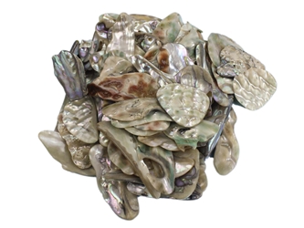 Mexican Green Abalone Shell Pieces: Large (1/2 lb) unpolished chipped broken Mexican green abalone shell