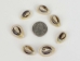 Cut Ringtop Cowrie Shells (kg) - 269-274C-KG (Y1XC03)