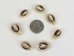 Cut Ringtop Cowrie Shells (kg) - 269-274C-KG (Y1X)