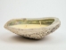 Abalone Shell Candle: Citronella - 278-51 (Y3G-A1)