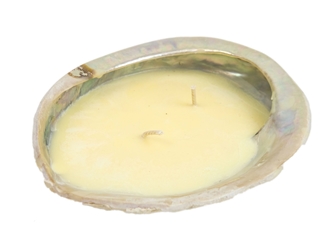 Abalone Shell Candle: Citronella 