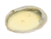 Abalone Shell Candle: Citronella - 278-51 (Y3G-A1)