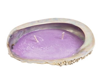 Abalone Shell Candle: Lavender 