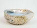 Abalone Shell Candle: Seabreeze - 278-55 (Y3G-A1)