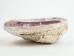 Abalone Shell Candle: Cherry - 278-57 (Y)