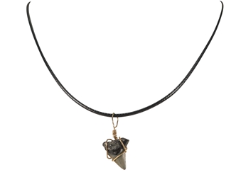 Gray Fossil Shark Tooth Necklace 
