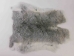 Czech #2/#3 Breeder Rabbit Skin: Chinchilla Silver - 283-2-CZNCHS-AS (Y2HRM)