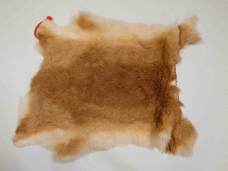 Czech #2/#3 Breeder Rabbit Skin: Fawn  Fawn rabbit skins, Czech Fawn rabbit fur, Czech rabbit pelt, natural color, rabbit, Fawn
