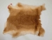 Czech #2/#3 Breeder Rabbit Skin: Fawn - 283-2-CZNFA-AS (Y2HRP)