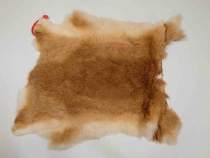 Czech #2/#3 Breeder Rabbit Skin: Fawn  Fawn rabbit skins, Czech Fawn rabbit fur, Czech rabbit pelt, natural color, rabbit, Fawn