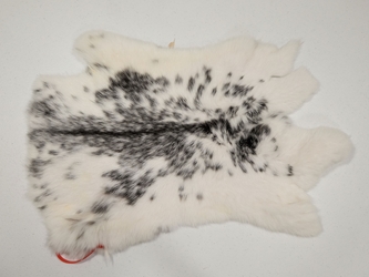 Czech #2/#3 Breeder Rabbit Skin: Gray and White Spotted Spotted rabbit skins, Czech Fawn rabbit fur, Czech rabbit pelt, natural color, rabbit
